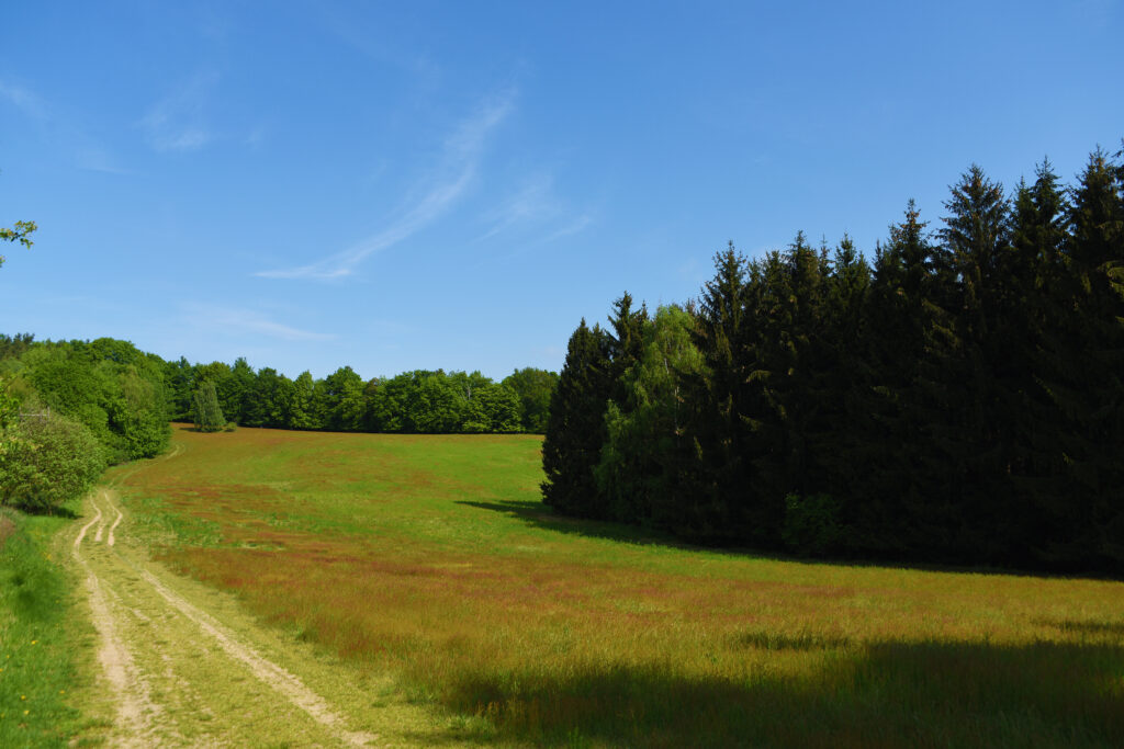 Ztracený svět - tajemné Kokořínsko - Máchův kraj (zdroj: Depositphotos)